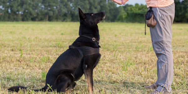 Behavior Modification